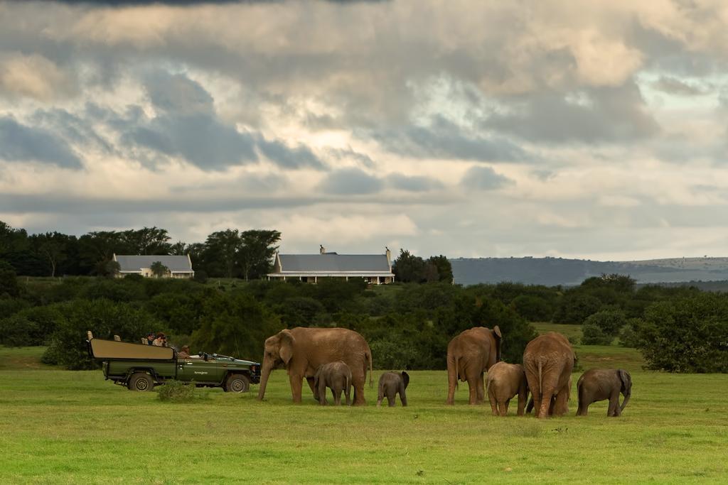 Riverbend Lodge Addo Kültér fotó