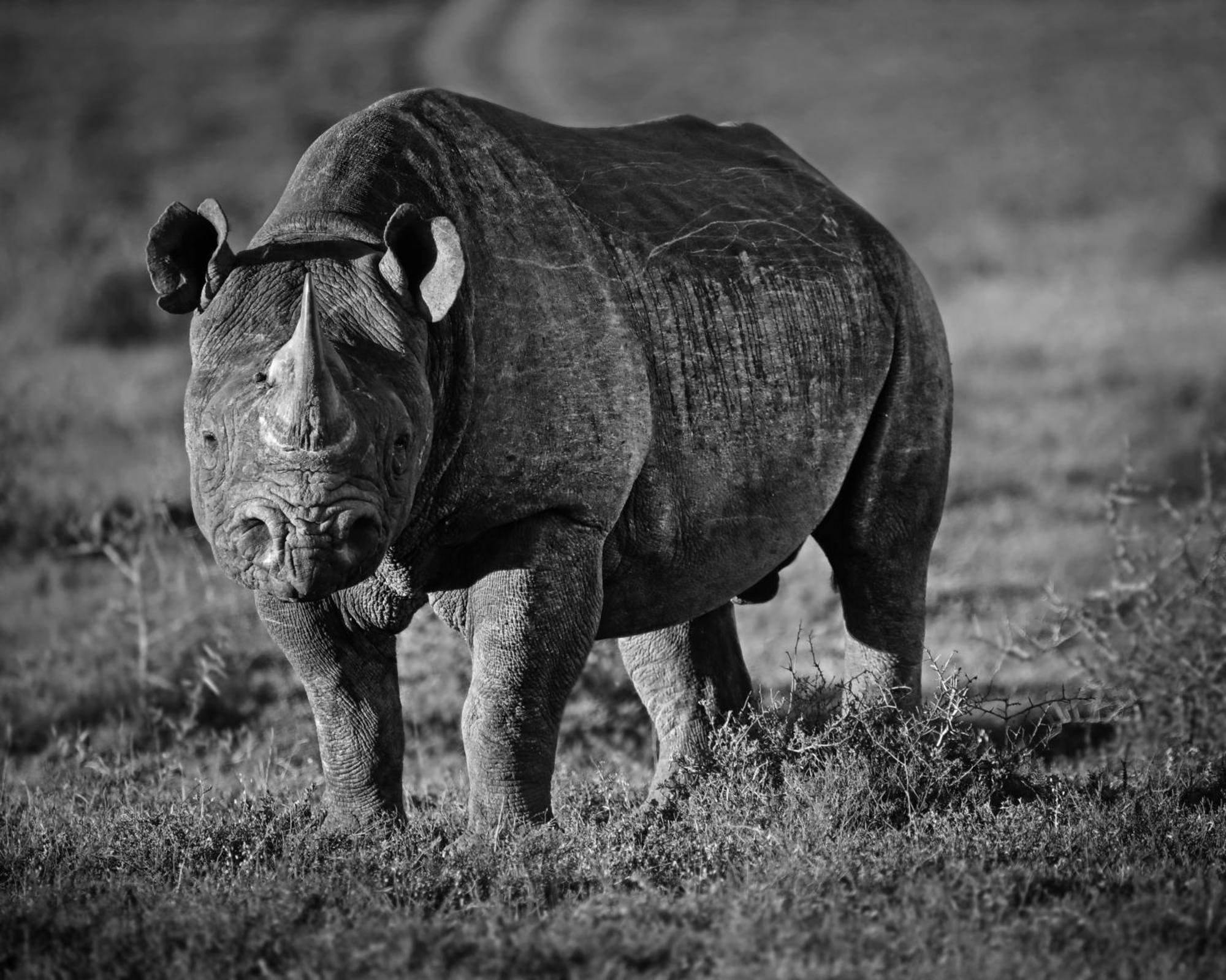 Riverbend Lodge Addo Kültér fotó