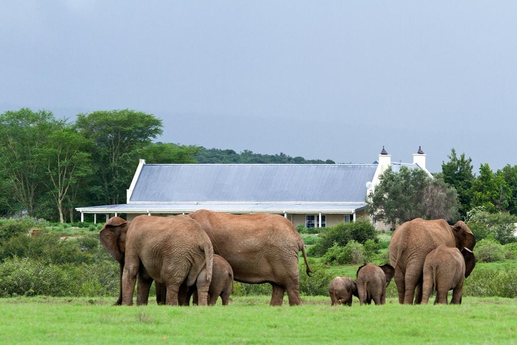 Riverbend Lodge Addo Kültér fotó