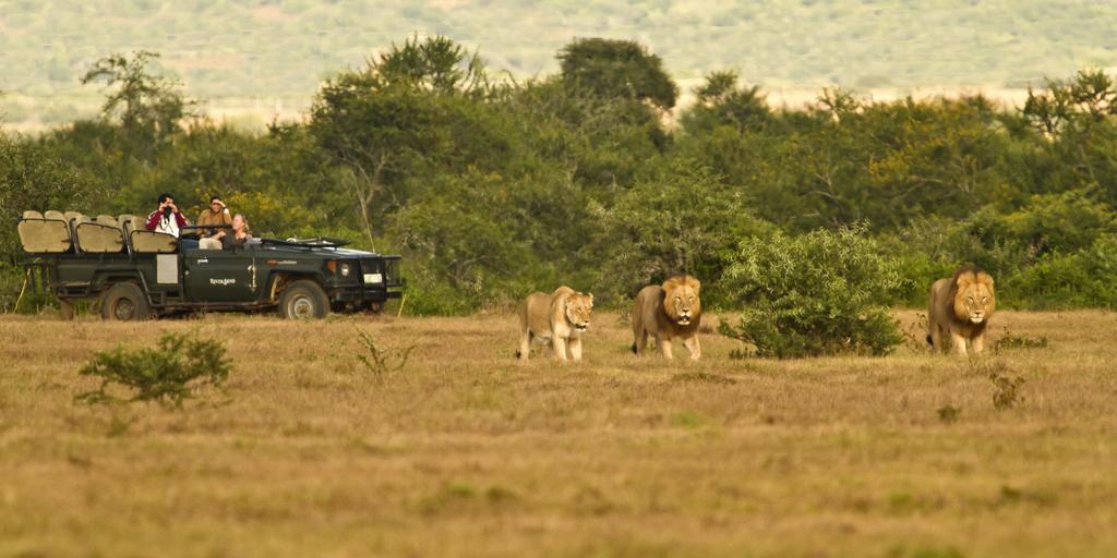 Riverbend Lodge Addo Kültér fotó
