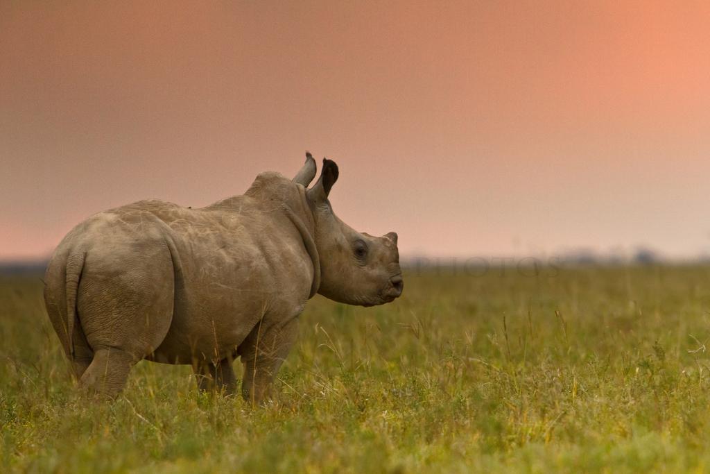 Riverbend Lodge Addo Kültér fotó