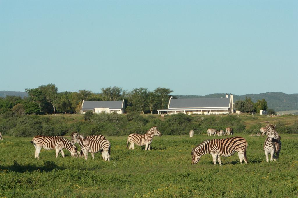 Riverbend Lodge Addo Kültér fotó