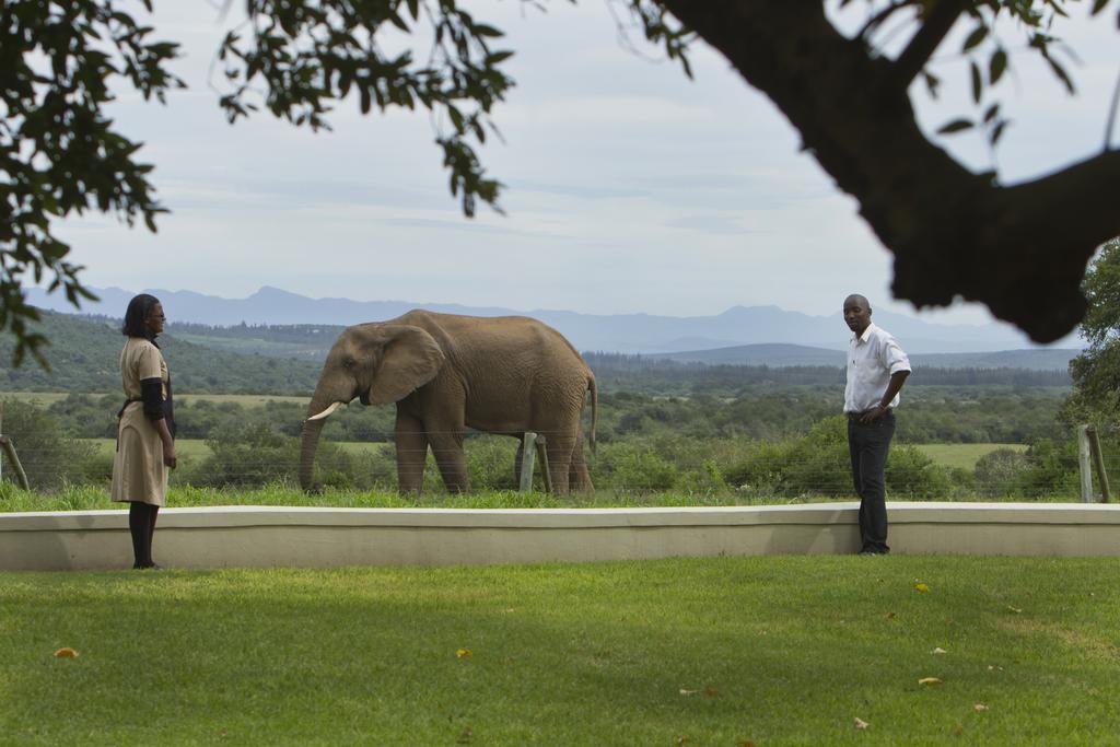 Riverbend Lodge Addo Kültér fotó