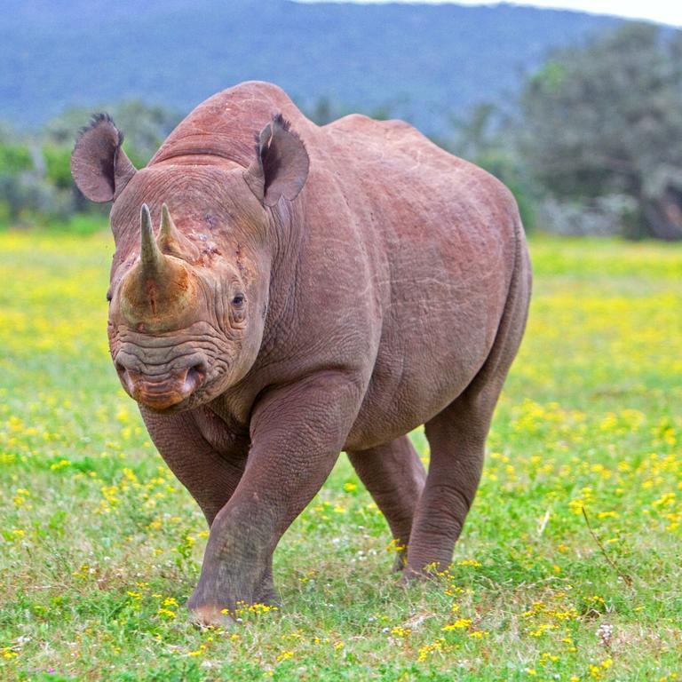 Riverbend Lodge Addo Kültér fotó