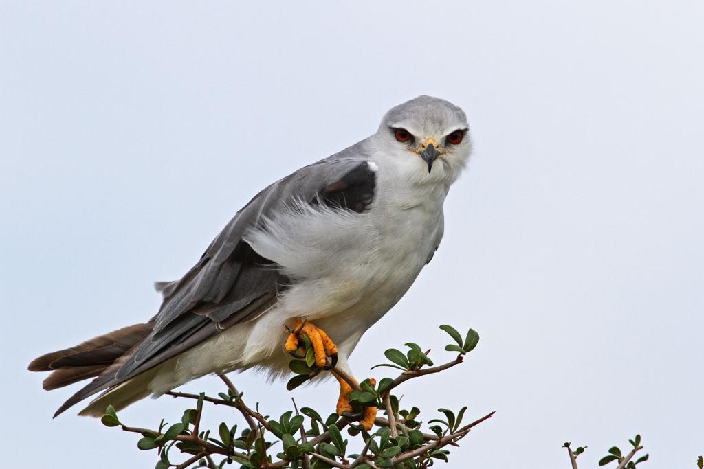 Riverbend Lodge Addo Kültér fotó