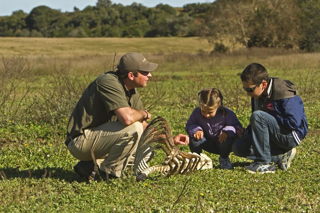 Riverbend Lodge Addo Kültér fotó