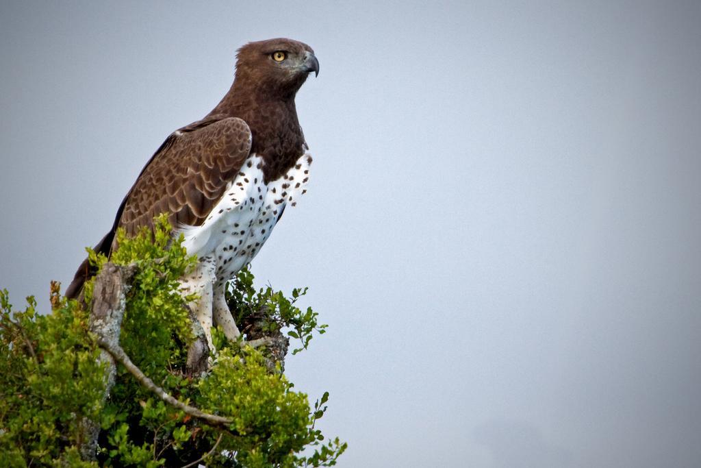 Riverbend Lodge Addo Kültér fotó